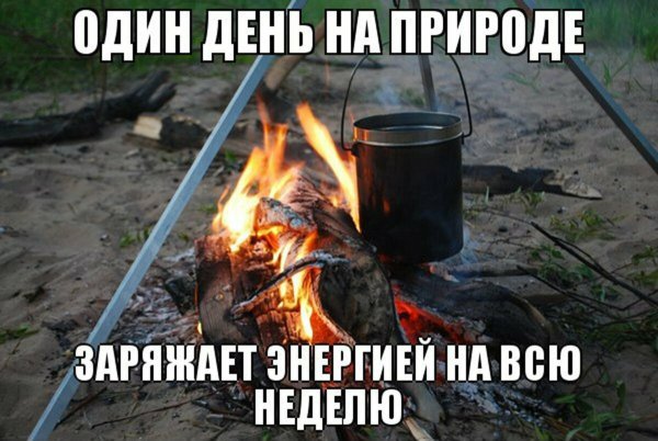 Цитаты про отдых на природе
