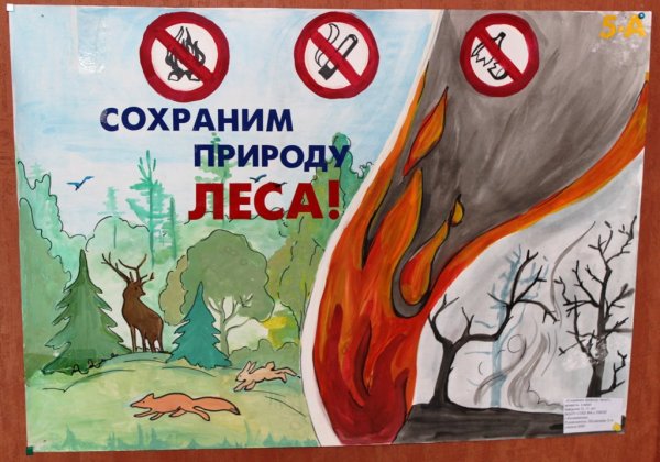 Бережное отношение к природе