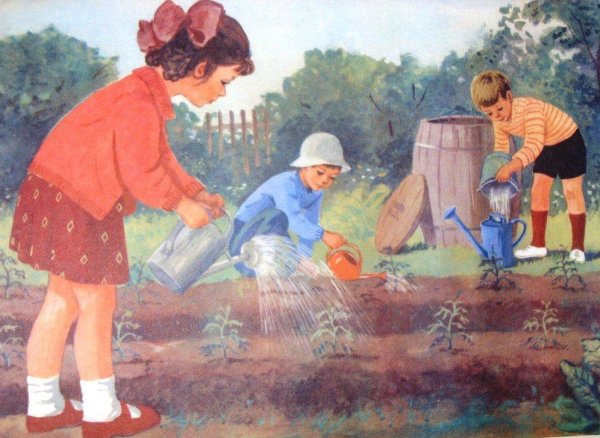 Сюжетная картина огород