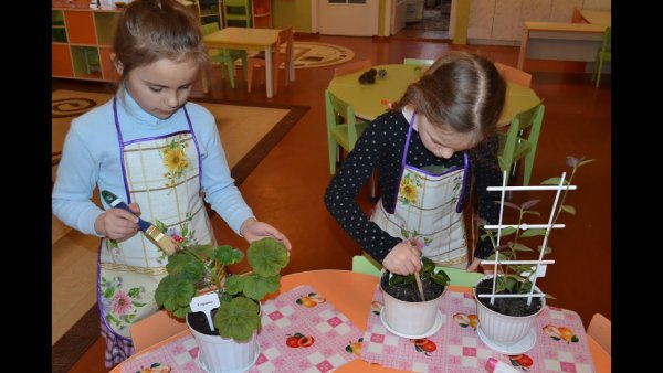 Ухаживание за природой детьми