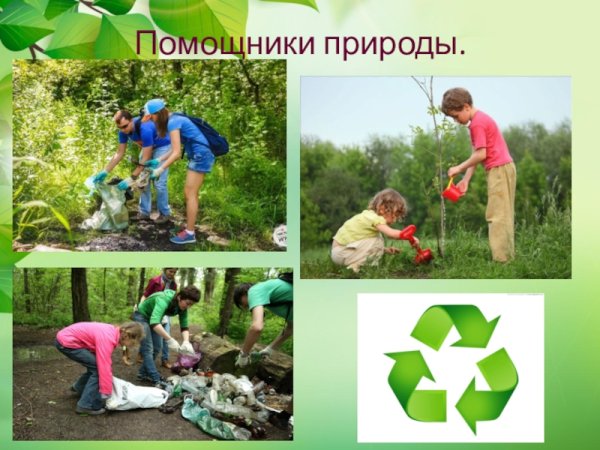 Помощники природы
