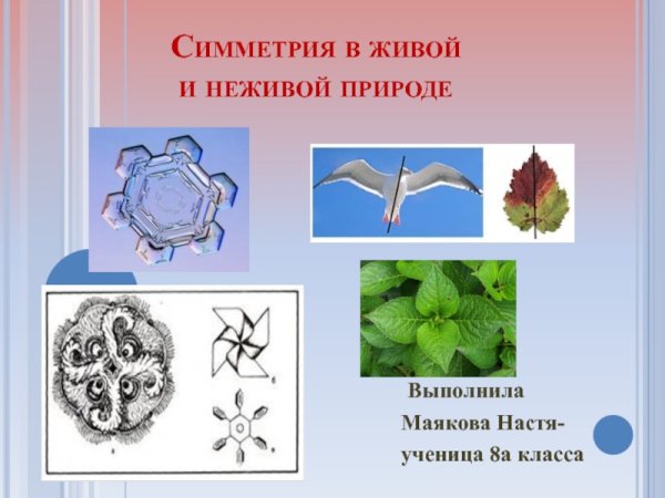 Симметрия в окружающем мире