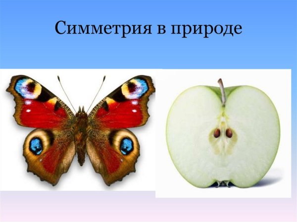 Зеркальная симметрия в природе