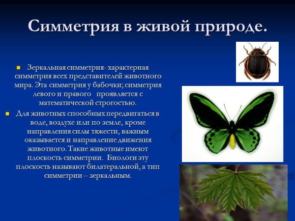 Типы симметрии в природе