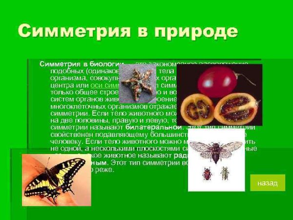 Симметрия в неживой природе