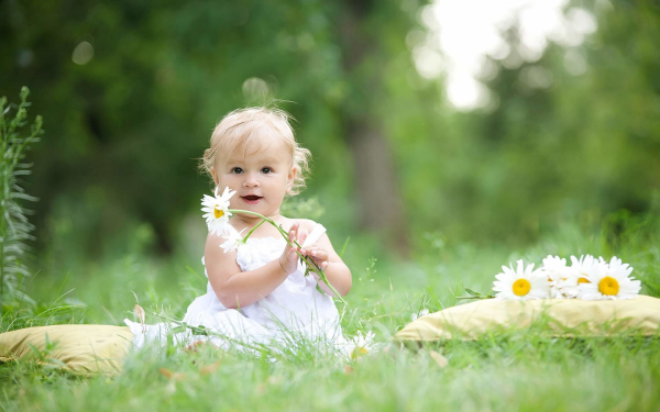 Позитив природа