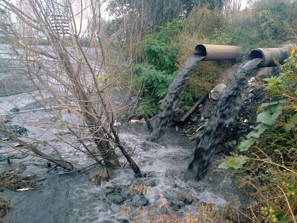 Посдствия загрязнения водоёмов