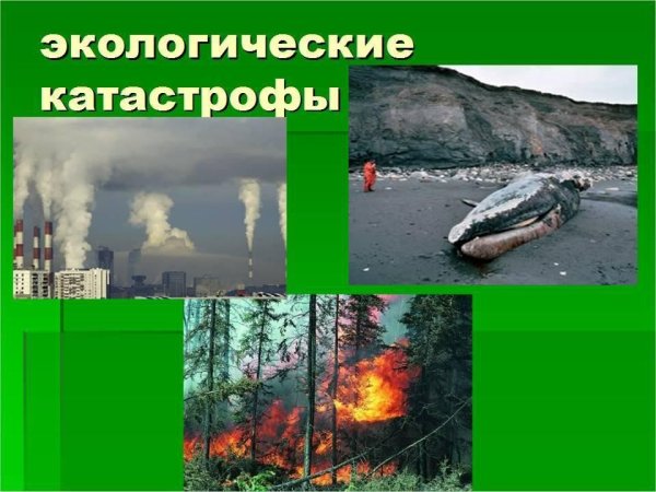 Презентация на тему загрязнение