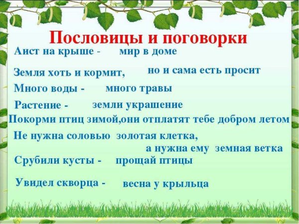 Пословицы и поговорки о лесе