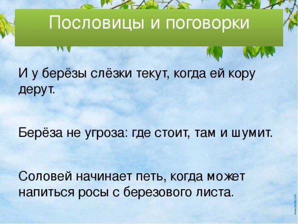 Пословицы и поговорки о природе