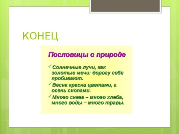 Поговорки про деревья