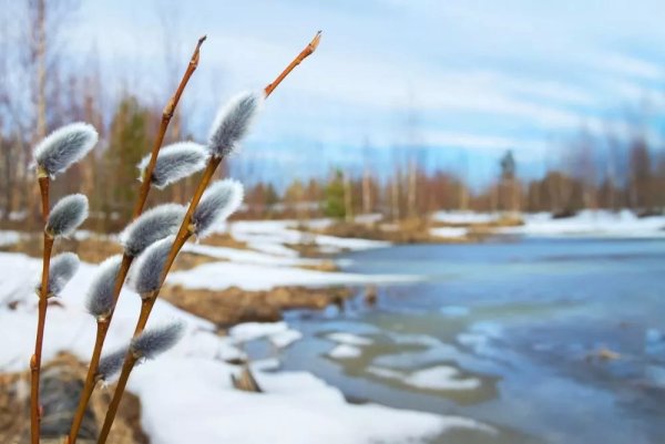 Весеннее солнце