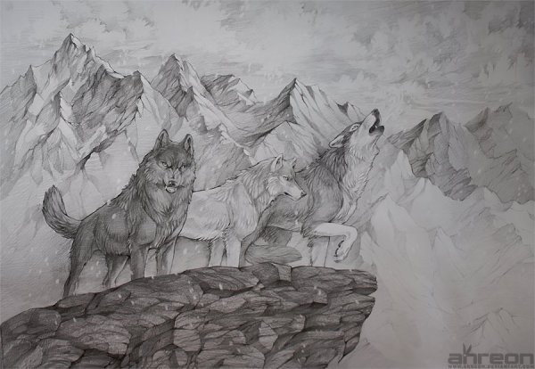 Лошадь рисунок карандашом