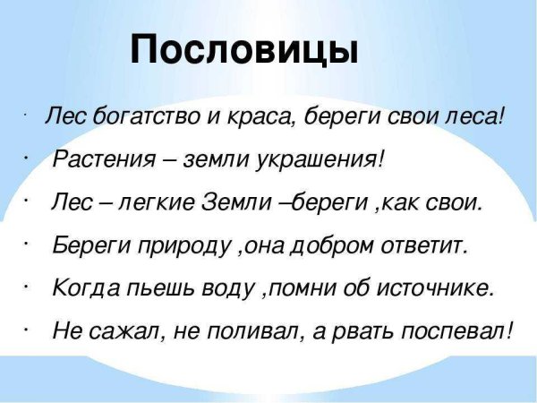 Пословицы и поговорки о природе