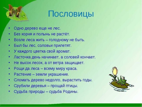 Загадки и пословицы про березу