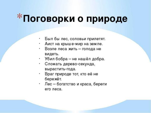 Пословицы и поговорки о природе