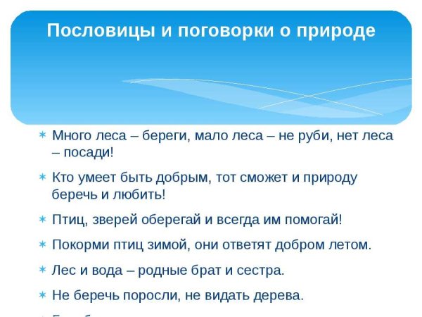 Пословицы о лесе