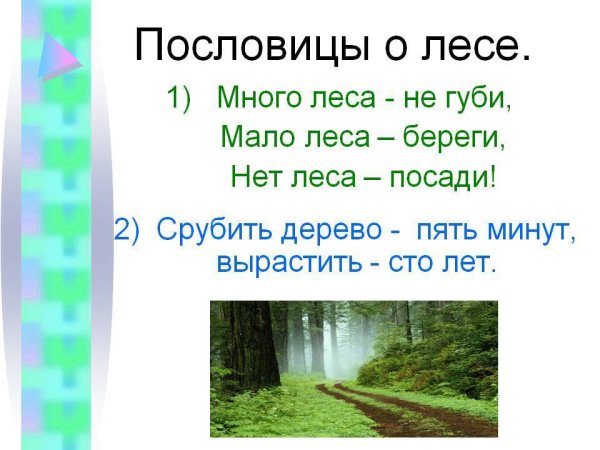 Поговорки о природе