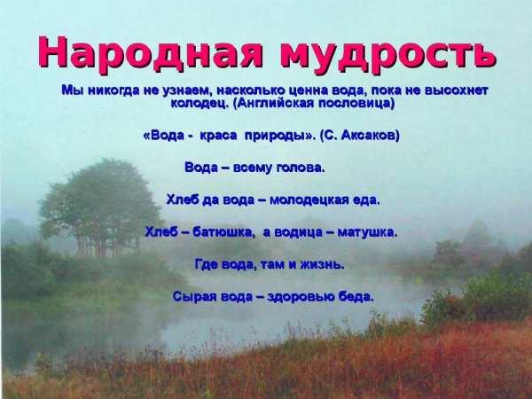 Поговорки про грибы