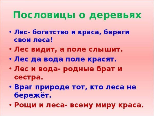 Поговорки о природе