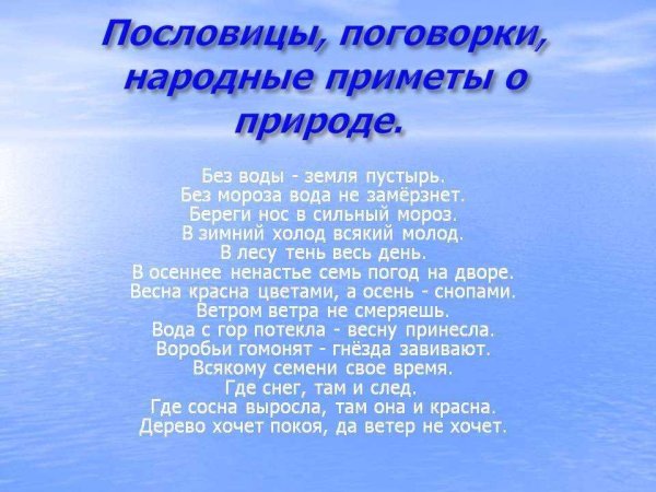 Экологические пословицы