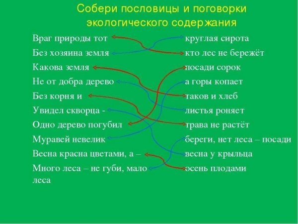 Пословицы про экологию