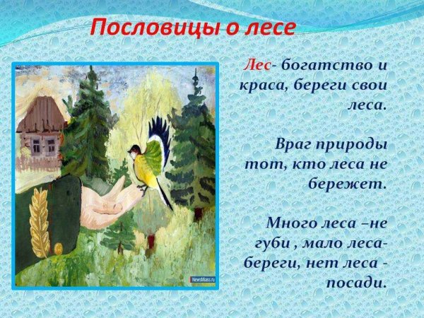 Пословицы и поговорки о грибах