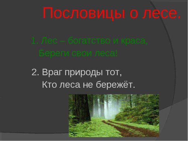 Поговорки о родине