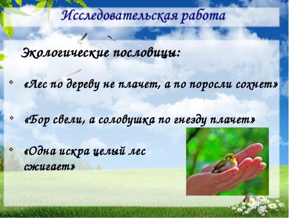 Пословицы о природе
