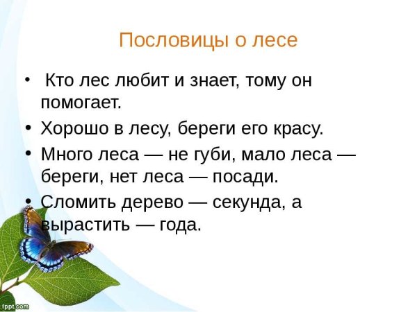 Пословицы о природе