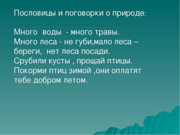 Лес-наше богатство презентация