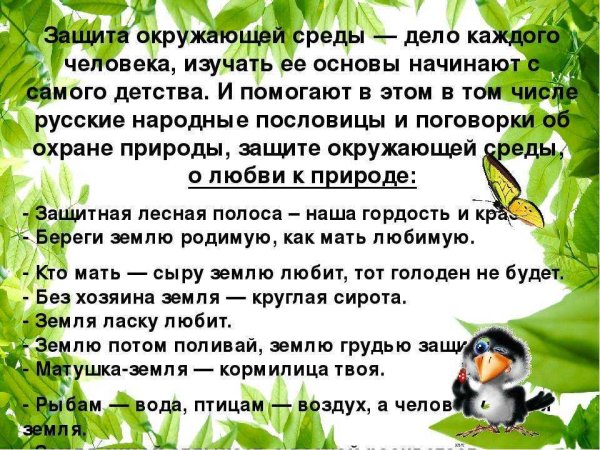 Пословицы и поговорки про грибы для дошкольников