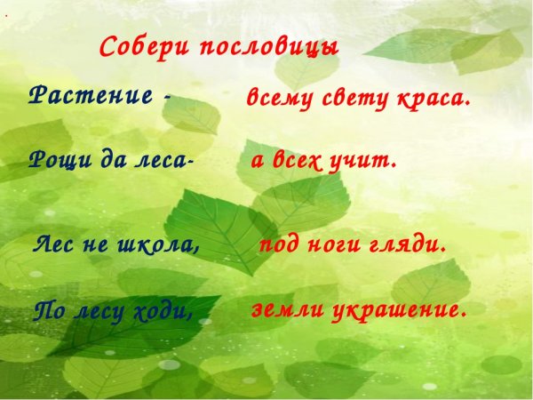 Пословицы о растениях