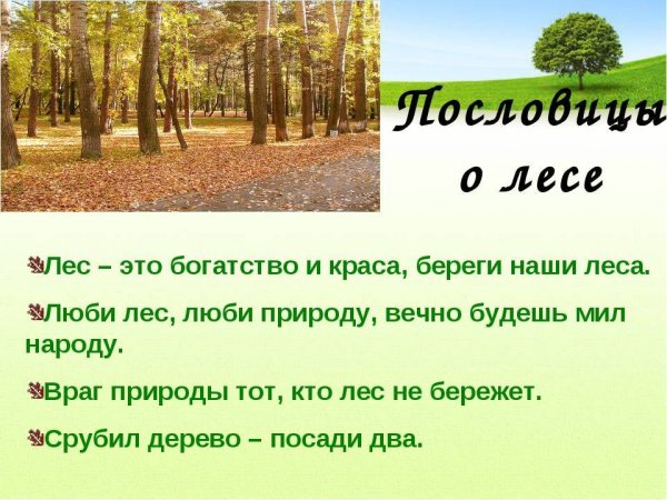 Пословицы и поговорки о воде
