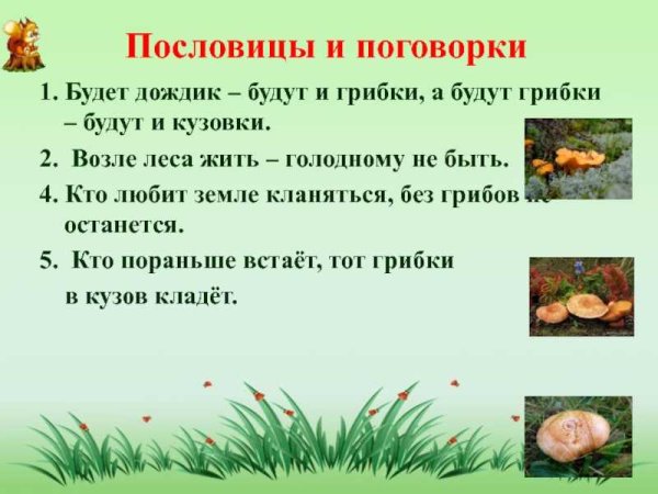 Поговорки на экологическую тему