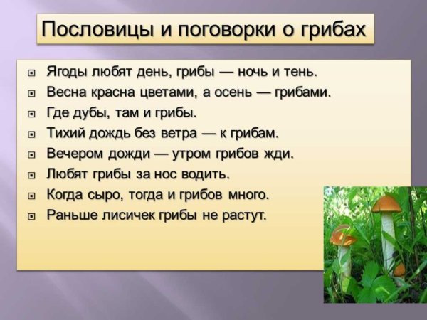 Пословицы и поговорки о грибах