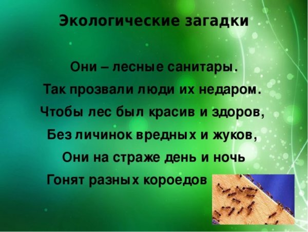 Поговорки про грибы