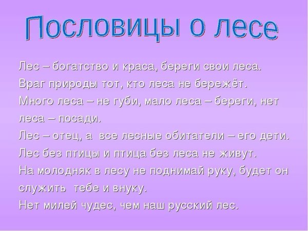 Интересные факты о Березе
