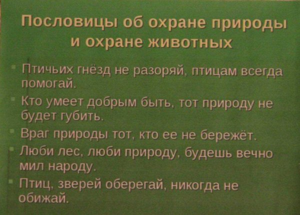 Загадки и пословицы о земле