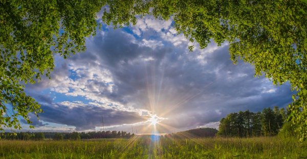 Солнечная природа