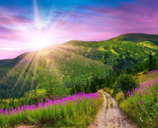 Яркая природа