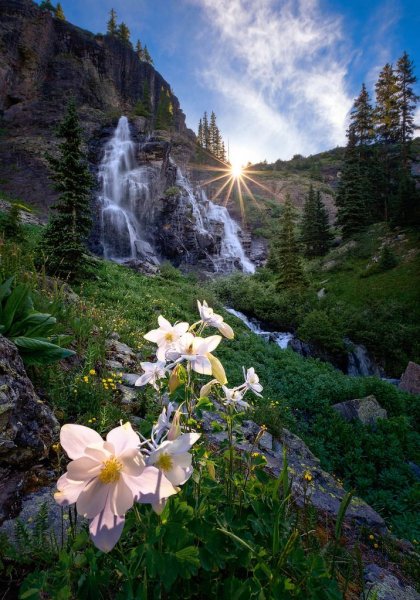 Красивая природа