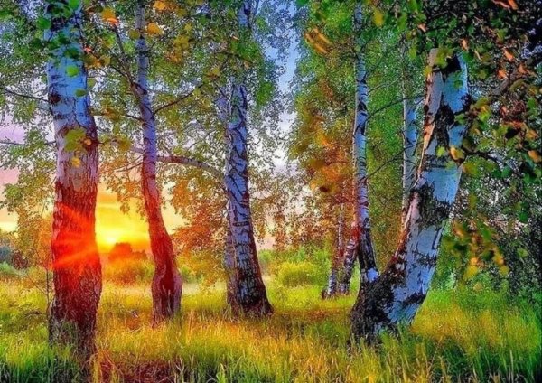 Стих Есенина задремали звезды золотые