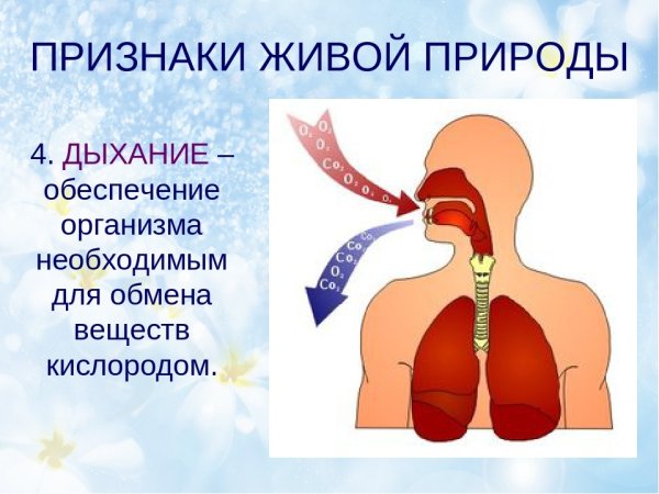 Рисунок на тему экология