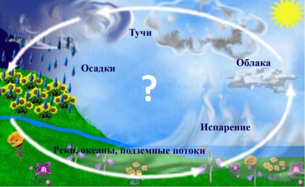 Круговорот еды в природе