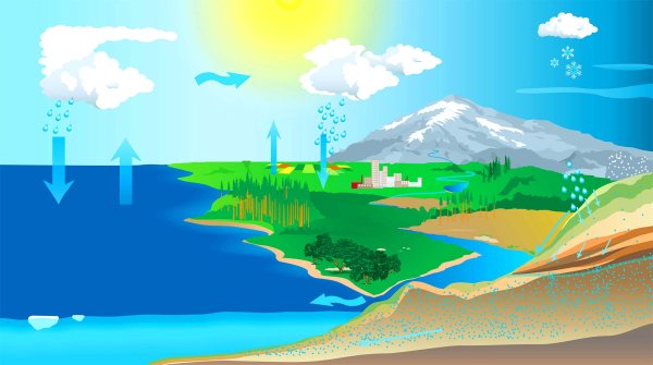 Круговорот испарения воды