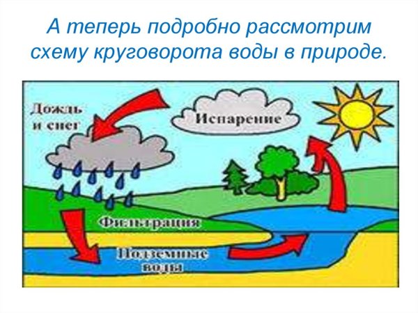 Круговорот воды в природе для детей дошкольного возраста картинки