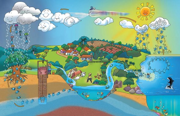 Схема круговорота воды в природе для дошкольников