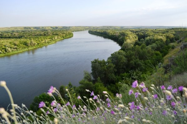 Липовый Донец река Белгород
