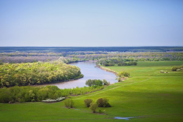 Донская степь Ростовская область